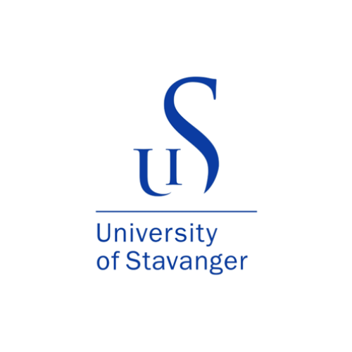 Professor in Mechanical Engineering University of Stavanger Norway