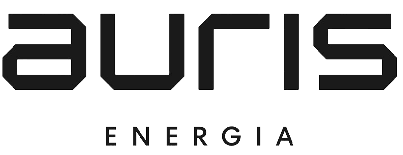 Chief Growth Officer Auris Energia Finland